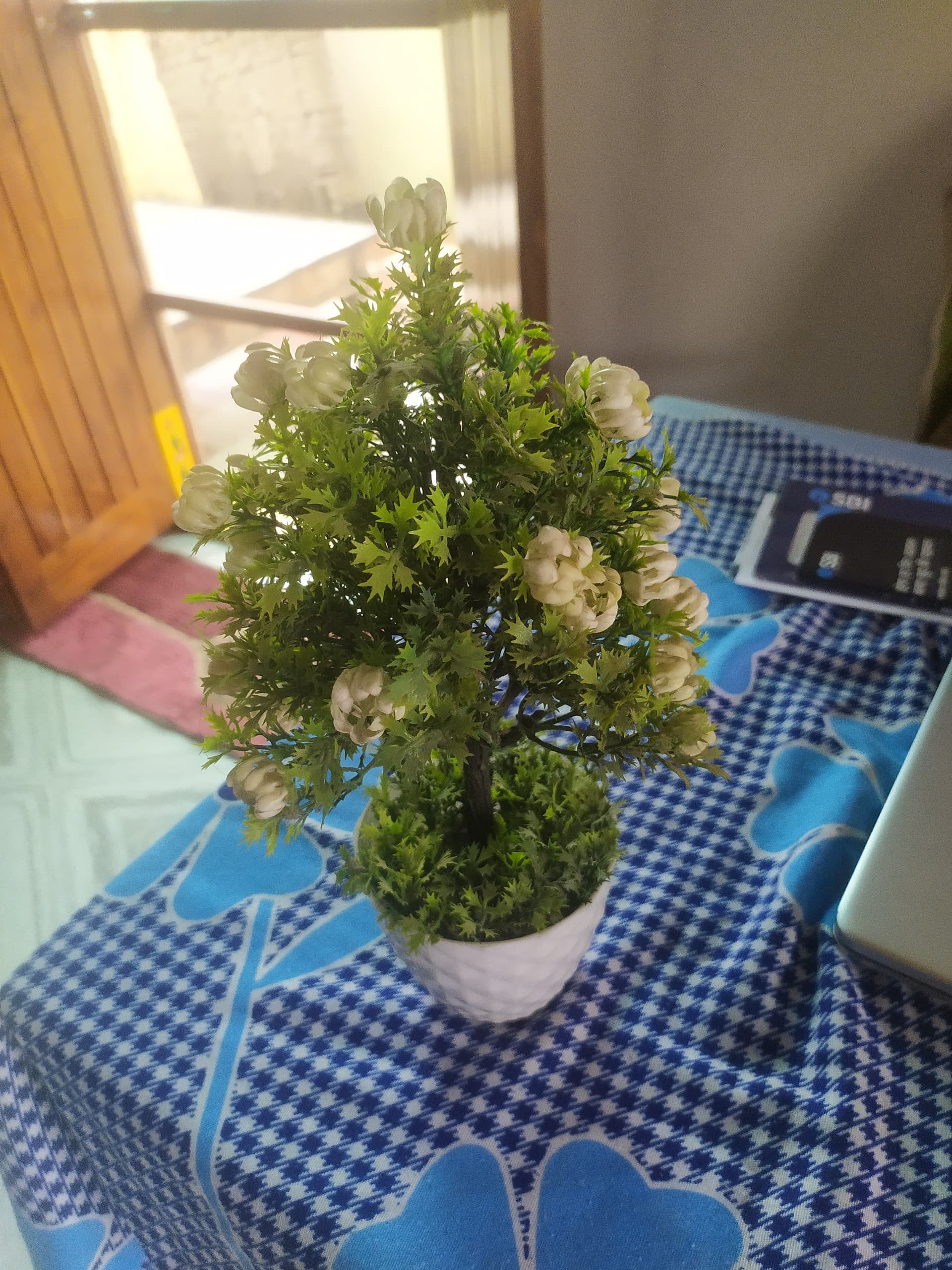 New Flower pot just for 249
